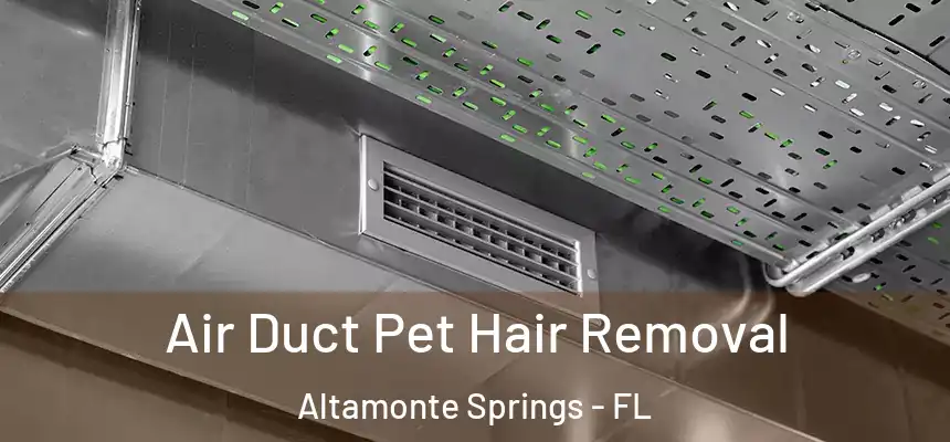 Air Duct Pet Hair Removal Altamonte Springs - FL
