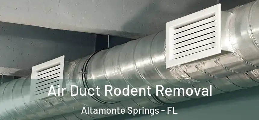 Air Duct Rodent Removal Altamonte Springs - FL