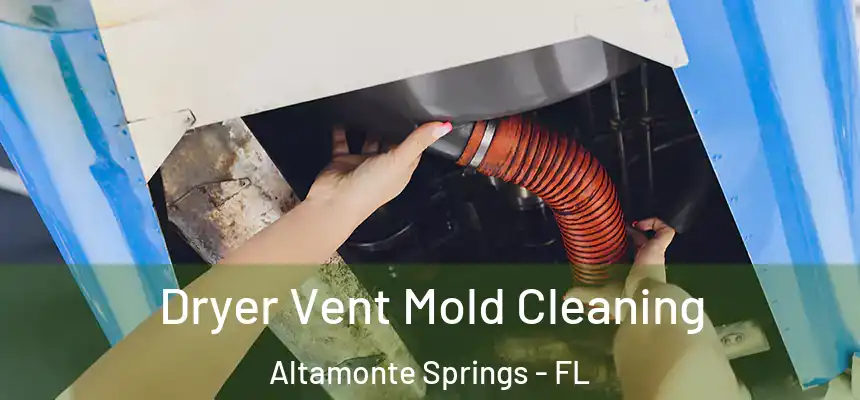 Dryer Vent Mold Cleaning Altamonte Springs - FL