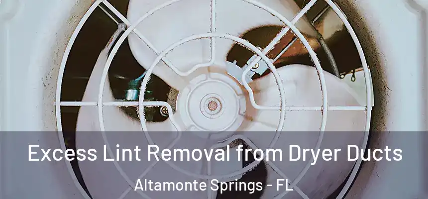 Excess Lint Removal from Dryer Ducts Altamonte Springs - FL