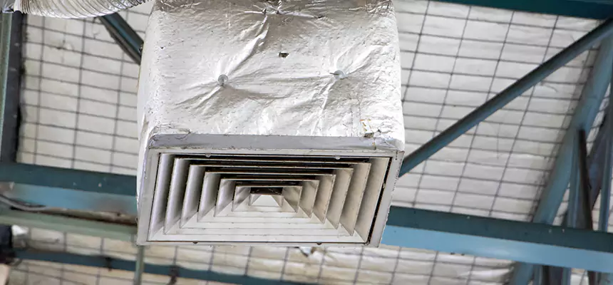 Our HVAC Mold Remediation Service Services in Altamonte Springs, FL