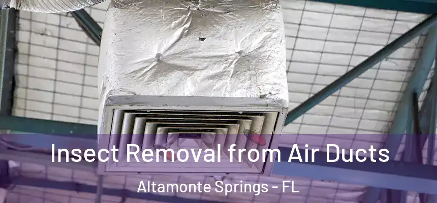 Insect Removal from Air Ducts Altamonte Springs - FL