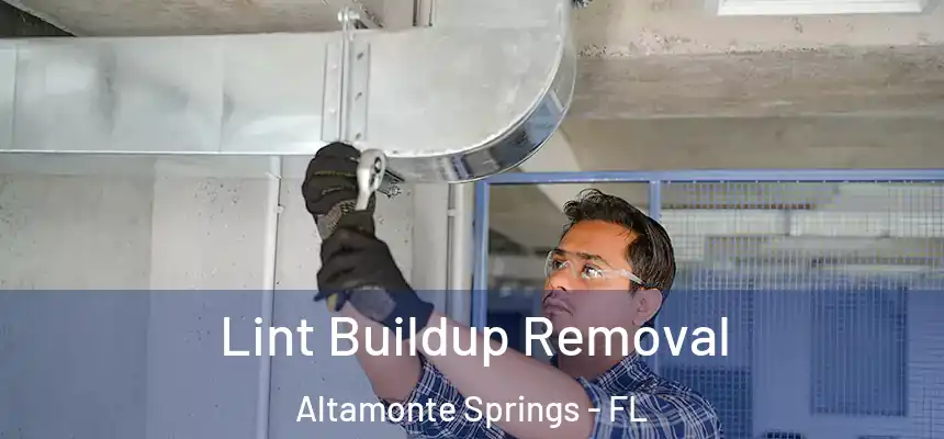 Lint Buildup Removal Altamonte Springs - FL