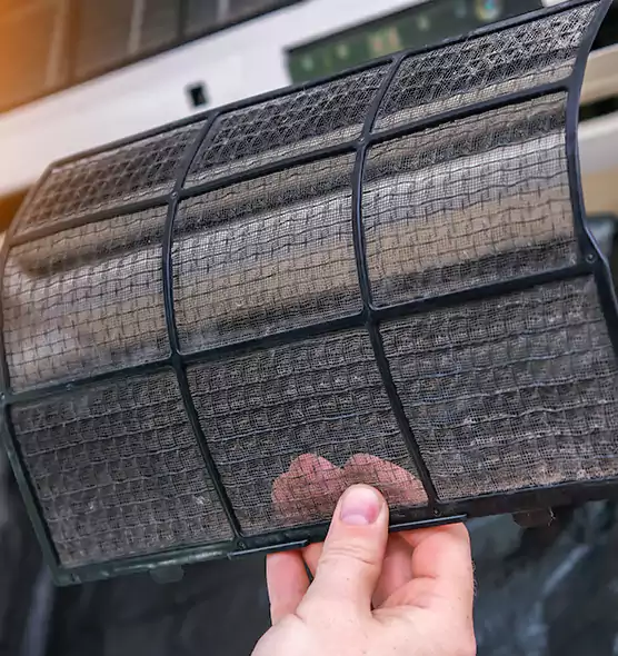 About Pet Dander Duct Cleaning in Altamonte Springs, FL